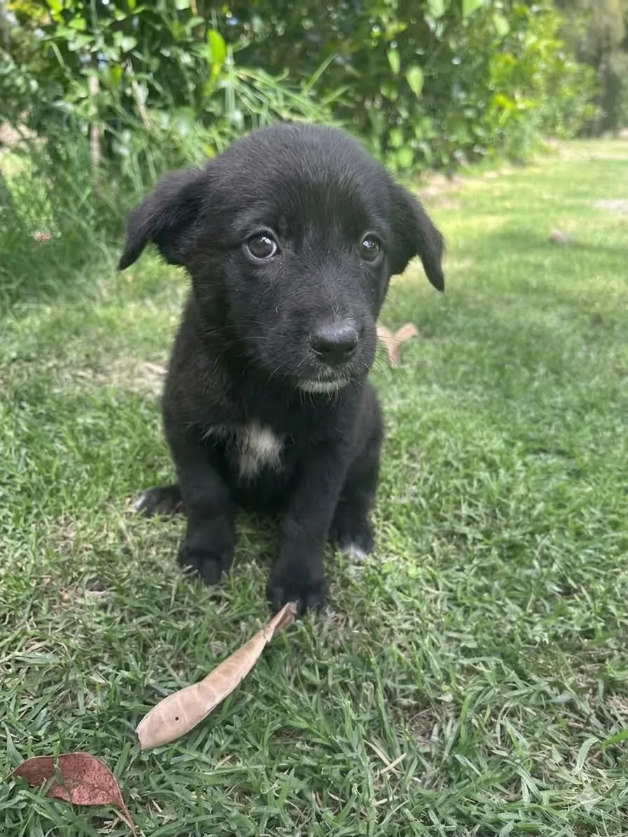 GRETA - Foto 1
